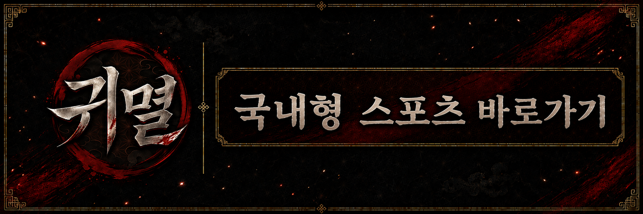 국내형